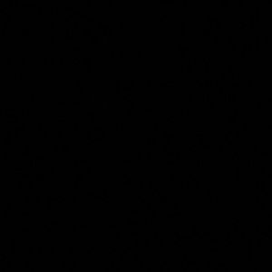 Meet your Posher, Jaden